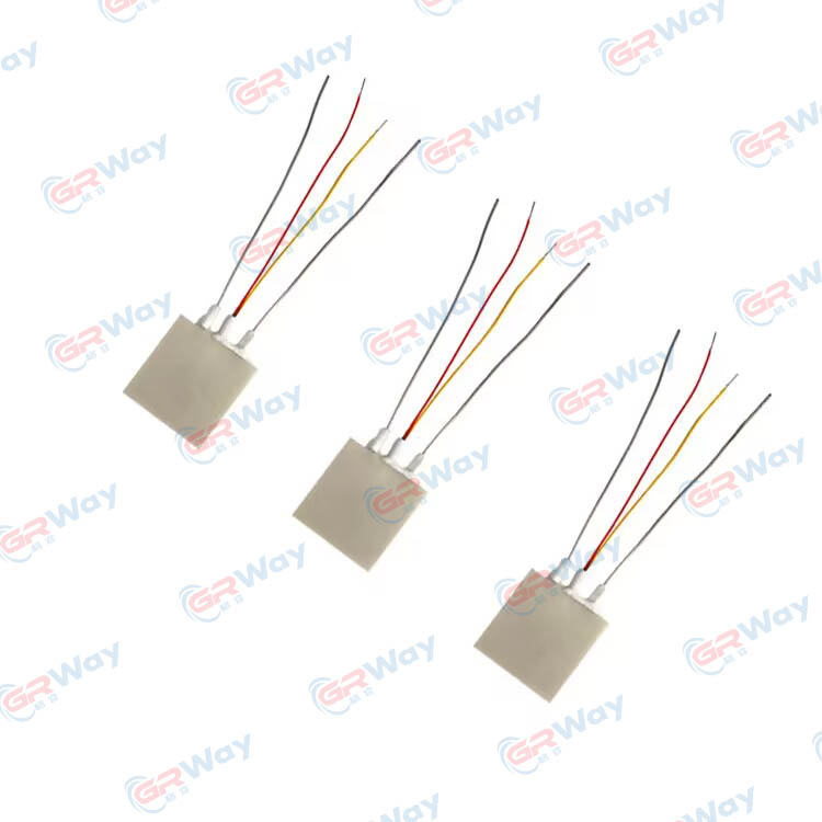 12V~240V অ্যালুমিনিয়াম নাইট্রাইড সিরামিক হিটার